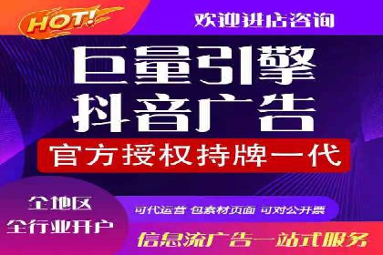 竞价广告在XX行业的成功应用案例