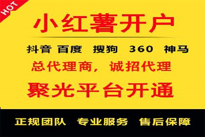 成功案例解析：SEO与SEM协同营销策略